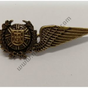 BREVET DE PILOTO MEIA ASA