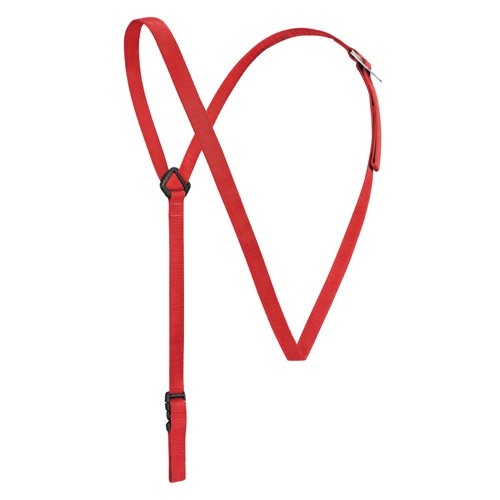 Torse - Image 4