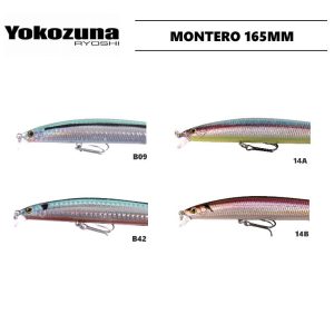 Yokozuna Montero 165