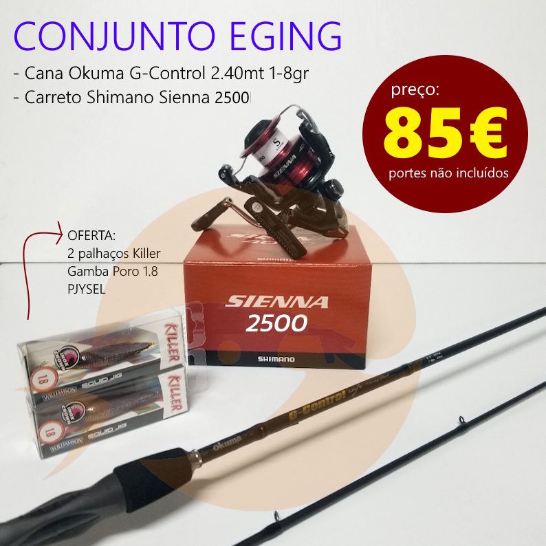 Conjunto Eging G-control 2.40mt + Sienna 2500 - Image 2