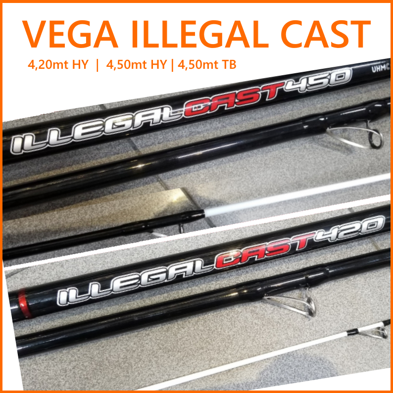Cana Vega Illegal Cast - Image 2